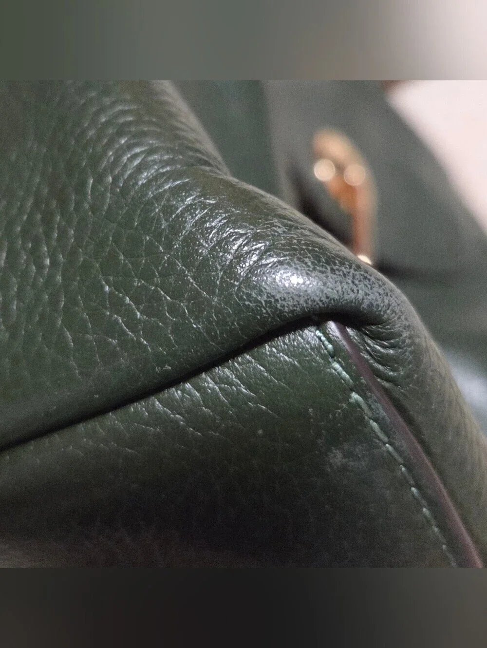 Michael Kors Raven Medium Pebbled Leather Green Backpack